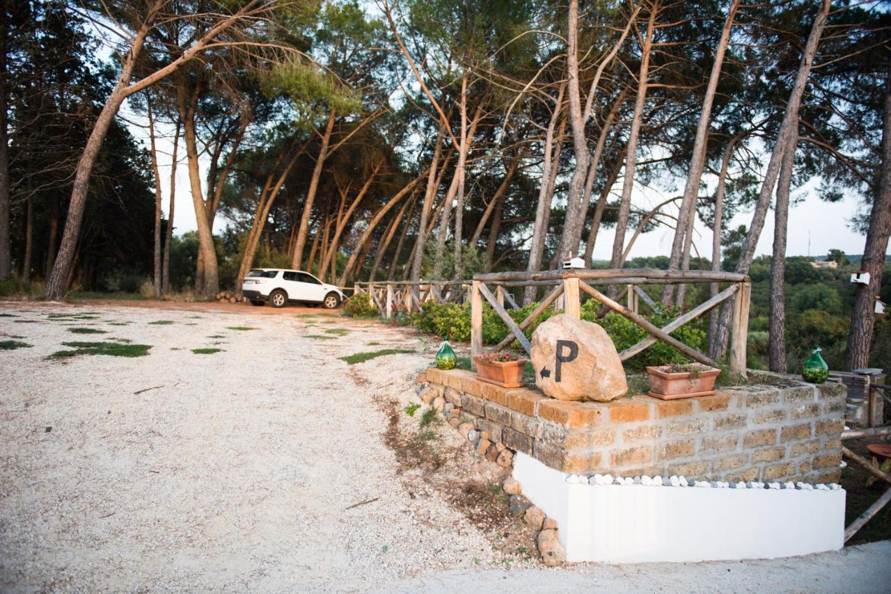 Le Terrazze Di Casa Bonelli Bed & Breakfast Vetralla Exterior photo